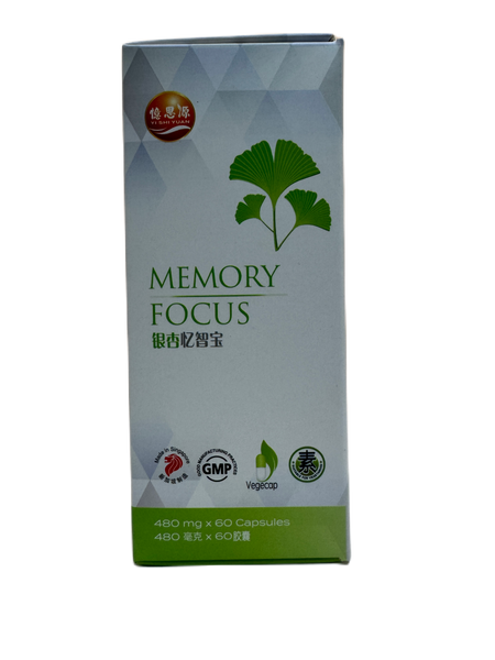 YSY Memory.Focus 60s 憶思源银杏忆智宝