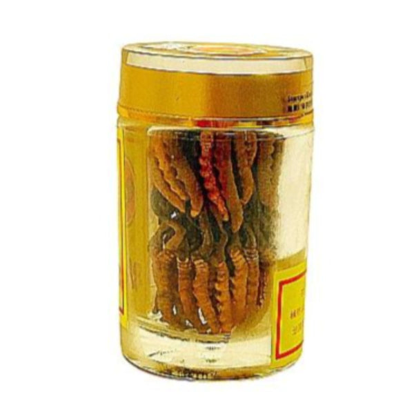 XIONG JI BRAND CORDYCEPS