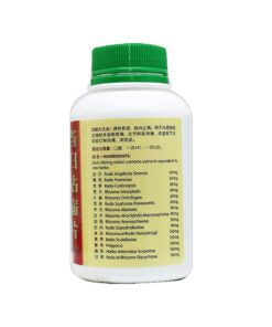 Nature’s Green Dang Gui Pain Relieving Tablets 500s 绿叶当归拈痛片