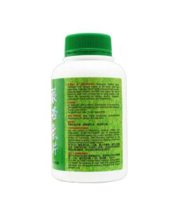 Nature’s Green Activated Ginkgo Leaf Tablets 500s